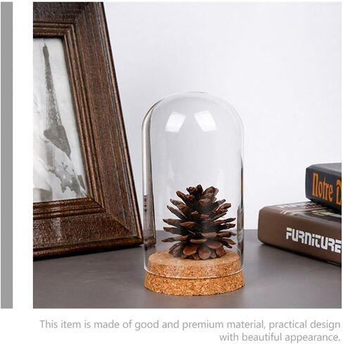 Glass Dome Cloche with Cork Base for Preserved Flower Display in Kuwait