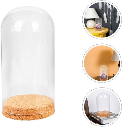 Glass Dome Cloche with Cork Base for Preserved Flower Display in Kuwait