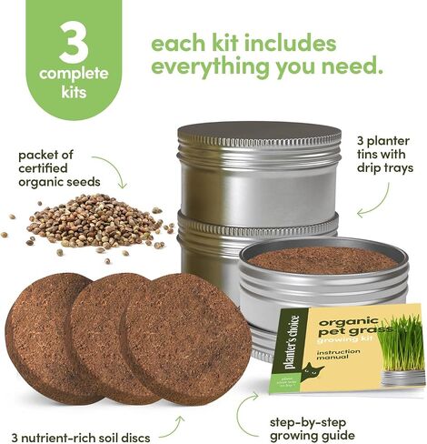 Cat Grass for Indoor Cats Kit - 3 Complete Growing Organic Planter Kits in Kuwait