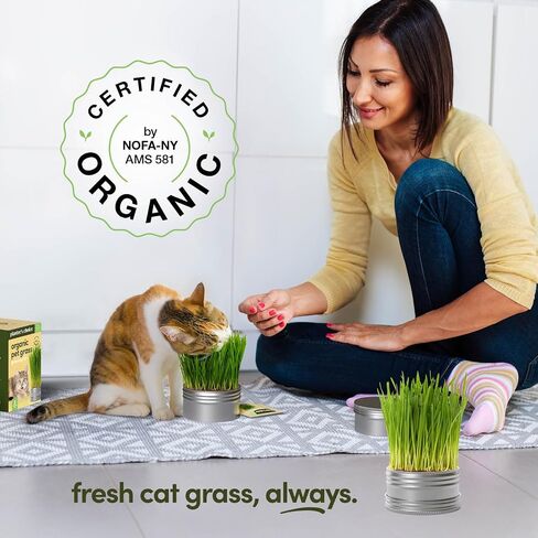 Cat Grass for Indoor Cats Kit - 3 Complete Growing Organic Planter Kits in Kuwait