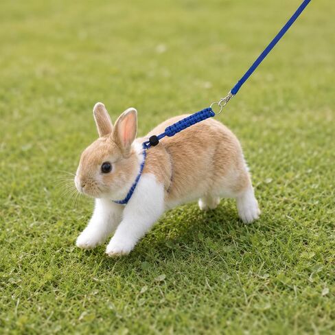 2 Pcs Ferret Harness and Leash Set Adjustable Figure 8 Harness and Leash for Small Animals in Kuwait