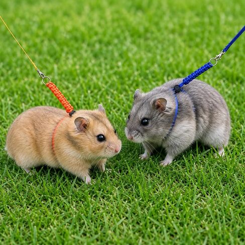 2 Pcs Ferret Harness and Leash Set Adjustable Figure 8 Harness and Leash for Small Animals in Kuwait
