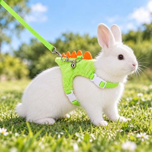 Ferret Harness and Leash Set 2 Pcs Dinosaur Shaped Ferret Harness in Kuwait