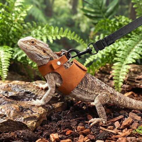 Bearded Dragon Harness and Leash Set, 3 Pack Adjustable Vest Harnesses with 6.5 ft Nylon Leash, Small Animal Traction Rope Training Walking Vest Accessories for Reptile Squirrel Rat in Kuwait