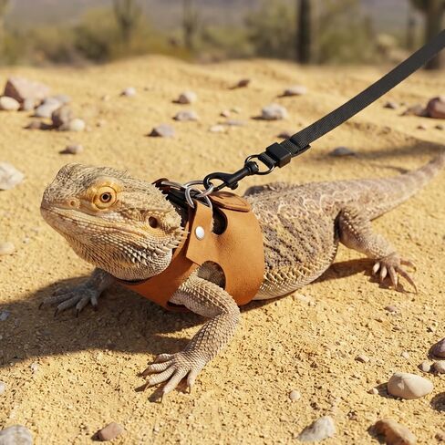 Bearded Dragon Harness and Leash Set, 3 Pack Adjustable Vest Harnesses with 6.5 ft Nylon Leash, Small Animal Traction Rope Training Walking Vest Accessories for Reptile Squirrel Rat in Kuwait
