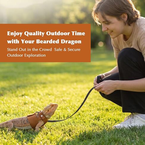 Bearded Dragon Harness and Leash Set, 3 Pack Adjustable Vest Harnesses with 6.5 ft Nylon Leash, Small Animal Traction Rope Training Walking Vest Accessories for Reptile Squirrel Rat in Kuwait
