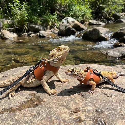 Jeffdad 3 Pcs Bearded Dragon Leash and Harness Leather Lizard Harness Leash in Kuwait