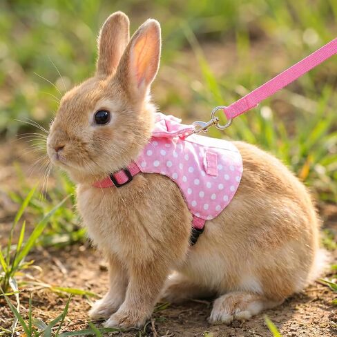 Adjustable Escape Proof Vest Cute Bunny Vest Hamster Leash Set Bunny Harness and Leash Set Soft Breathable Mesh Rabbit Leashes Vests with Safety Buckles for Rabbits Kittens Guinea Pigs Small Pets in Kuwait