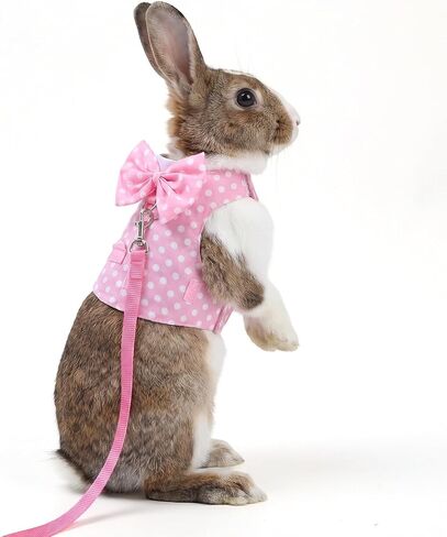 Adjustable Escape Proof Vest Cute Bunny Vest Hamster Leash Set Bunny Harness and Leash Set Soft Breathable Mesh Rabbit Leashes Vests with Safety Buckles for Rabbits Kittens Guinea Pigs Small Pets in Kuwait