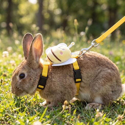 4 Sets Adjustable Bunny Harness Leash, Pet Cute Vest Harness Leash in Kuwait