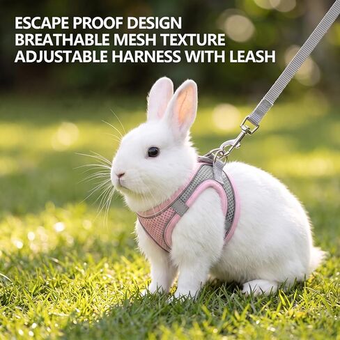 LOGJAM Bunny Harness and Leash, 3 Pcs Rabbit Harness Set in Saudi Arabia