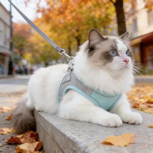 LOGJAM Bunny Harness and Leash, 3 Pcs Rabbit Harness Set in Saudi Arabia