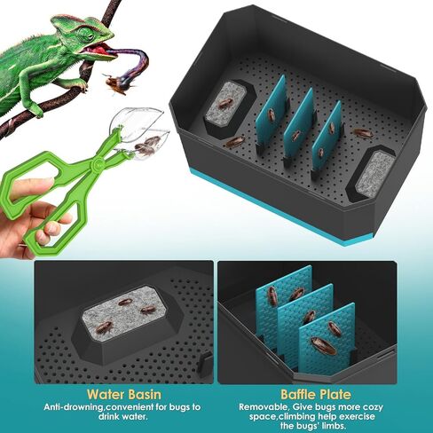 Breeding and Storage Container Kit for Dubia Roaches, Crickets, and Other Live Reptile Feeders with Secure Holding Box and Feeding Tongs - 9.25" L x 6.3" W x 5.71" H in Kuwait