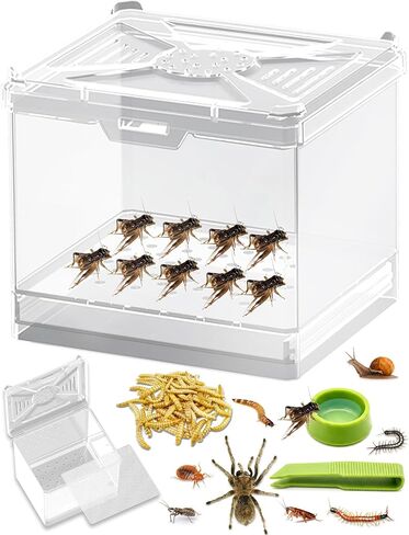 Cricket Keeper – Stackable Insect Habitat for Crickets, Dubia Roaches, Mealworms, Transparent Ventilated Cage, Easy Clean Critter Keeper for Reptiles, Lizards, Snakes, Live Feeder Insect Container in Kuwait
