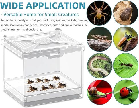 Cricket Keeper – Stackable Insect Habitat for Crickets, Dubia Roaches, Mealworms, Transparent Ventilated Cage, Easy Clean Critter Keeper for Reptiles, Lizards, Snakes, Live Feeder Insect Container in Kuwait