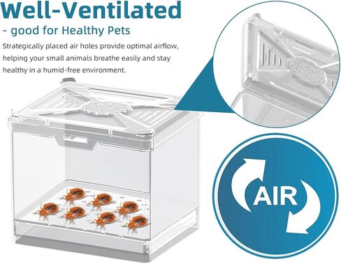 Cricket Keeper – Stackable Insect Habitat for Crickets, Dubia Roaches, Mealworms, Transparent Ventilated Cage, Easy Clean Critter Keeper for Reptiles, Lizards, Snakes, Live Feeder Insect Container in Kuwait