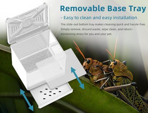 Cricket Keeper – Stackable Insect Habitat for Crickets, Dubia Roaches, Mealworms, Transparent Ventilated Cage, Easy Clean Critter Keeper for Reptiles, Lizards, Snakes, Live Feeder Insect Container in Kuwait