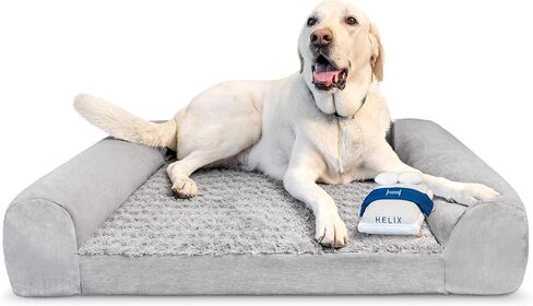Helix Pet Bed, Large in Kuwait