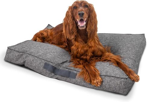 Best Friends by Sheri Dura-Tuff Indoor/Outdoor Dog Bed for Small Dogs in Saudi Arabia