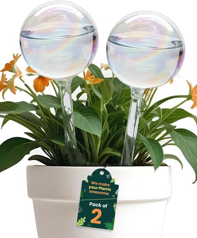 Iridescent Self Watering Globes, Glass Rainbow Plant Watering Globes, Self Watering Planter Insert, Automatic Plant Waterer Indoor (Medium-2 Pcs Iridescent, Medium) in Kuwait