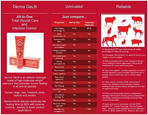 Veterinus Derma GeL® PAW Care Pack with 5 x MINI Tubes 10mL - 0.34 fl.oz. - CAT Safe Non Toxic Contains: Freeze Dried Lavender extr. (no Essential Oil) in Kuwait