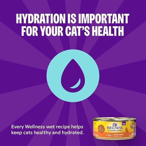 Wellness Complete Health Pate Adult Wet Cat Food,Natural,Protein-Rich,Grain-Free,3 Ounce,(Chicken & Turkey Variety Pack),(Pack of 48) in Kuwait