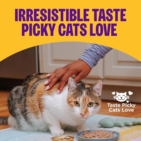 Wellness Complete Health Pate Adult Wet Cat Food,Natural,Protein-Rich,Grain-Free,3 Ounce,(Chicken & Turkey Variety Pack),(Pack of 48) in Kuwait