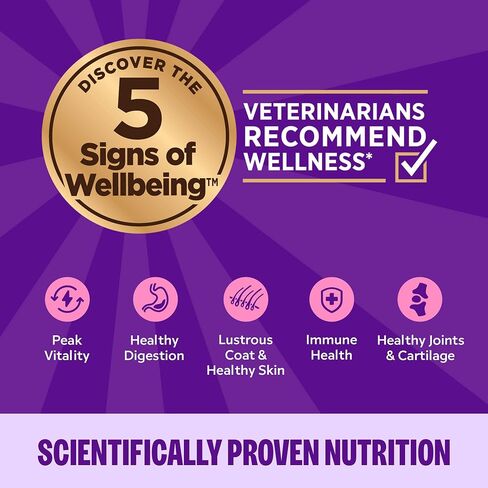 Wellness Complete Health Pate Adult Wet Cat Food,Natural,Protein-Rich,Grain-Free,3 Ounce,(Chicken & Turkey Variety Pack),(Pack of 48) in Kuwait