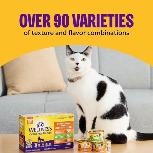 Wellness Complete Health Pate Adult Wet Cat Food,Natural,Protein-Rich,Grain-Free,3 Ounce,(Chicken & Turkey Variety Pack),(Pack of 48) in Kuwait