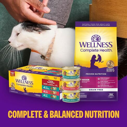 Wellness Complete Health Pate Adult Wet Cat Food,Natural,Protein-Rich,Grain-Free,3 Ounce,(Chicken & Turkey Variety Pack),(Pack of 48) in Kuwait