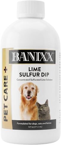 Banixx Lime Sulfur Dip for Dogs & Cats, Concentrated Liquid, 16 oz in Kuwait