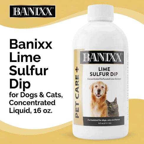 Banixx Lime Sulfur Dip for Dogs & Cats, Concentrated Liquid, 16 oz in Kuwait
