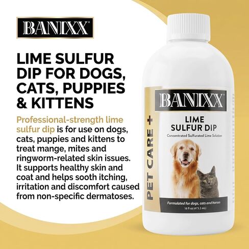 Banixx Lime Sulfur Dip for Dogs & Cats, Concentrated Liquid, 16 oz in Kuwait