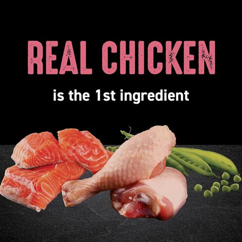 CRAVE Grain Free High Protein Indoor Dry Cat Food, Chicken & Salmon, 4 lb in Kuwait