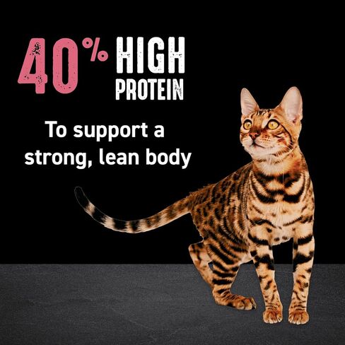 CRAVE Grain Free High Protein Indoor Dry Cat Food, Chicken & Salmon, 4 lb in Kuwait