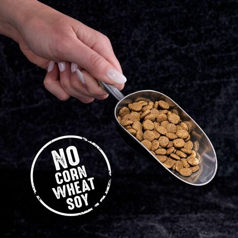 CRAVE Grain Free High Protein Indoor Dry Cat Food, Chicken & Salmon, 4 lb in Kuwait