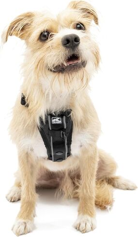 Kurgo Tru-Fit Smart Harness, Black, Small in Kuwait