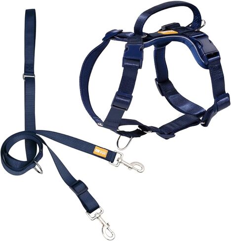 DF Freedom No Pull Martingale Dog Harness and Leash Set, Front Clip Adjustable Harness with Reflective & Padded Handle, Easy Walking & Training, Rainbow, 1", Chest 22"-30" in Kuwait