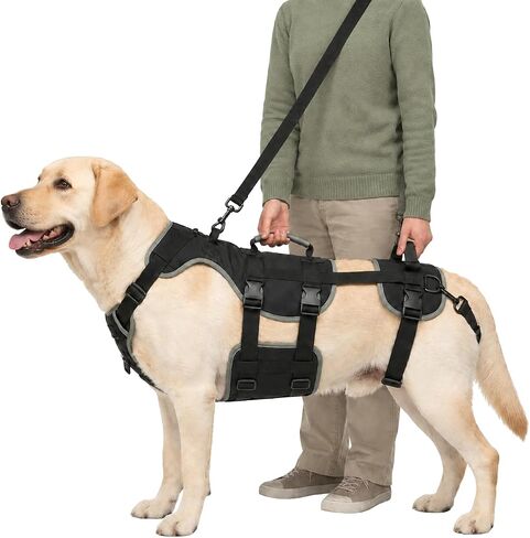Dog Lift Harness for Large Dogs, 3-in-1 Senior Dog Mobility Kit in Kuwait