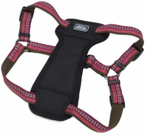 حزام كلب مبطن وقابل للتعديل من Coastal Pet K9 Explorer - وسادة صدر فخمة للراحة - حزام كلب مانع للسحب للكلاب الصغيرة والكبيرة - برتقالي كامب فاير - 1 بوصة × 26 بوصة - 38 بوصة in Kuwait