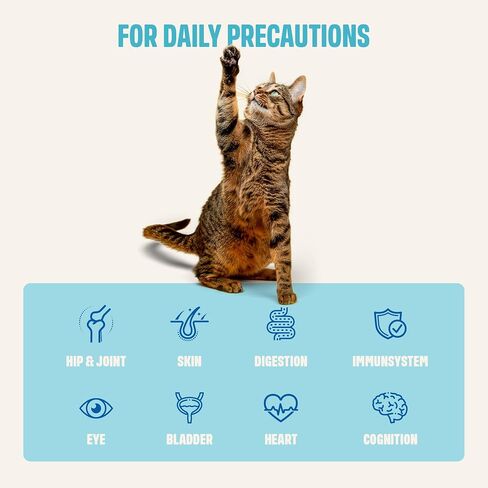 ivvi Multivitamin for Cats - Creamy Lickable Cat Supplement with Tuna, Vitamins, L-Lysine, Taurine & Salmon Oil - Daily Cat Wellness Support - 30 Pouches x 15 g in Kuwait