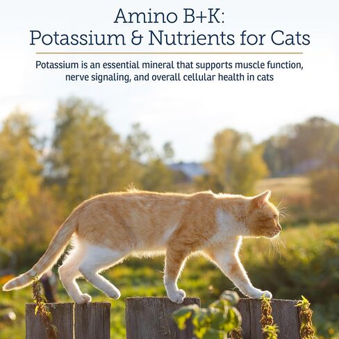 Rx Vitamins Amino B+K - Cat Vitamin B & Potassium Supplement for Cats - 4oz in Kuwait