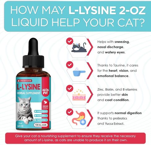 L Lysine for Cats with Taurine & Probiotic – A and B Vitamins Help with Watery Eyes, Sneezing, Cough, Allergies – Feline Upper Respiratory Supplement Works as a Natural Antibiotic for Cats – 2 Oz in Kuwait