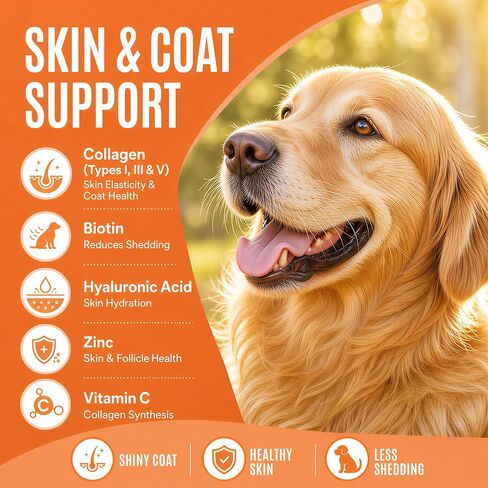 Premium 5-Type Grass-Fed Liquid Collagen for Dogs & Cats Supplement - 120ml in Kuwait