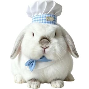 Rabbit Chef Costume Set, Bunny Halloween Outfit with Adjustable Hat & Cloak in Kuwait