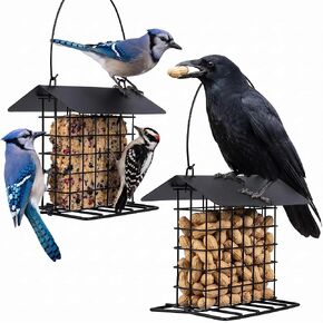 Blue Jay & Crow Peanut Feeder: Suet Cake & Bird Nesting Material Holder in Kuwait