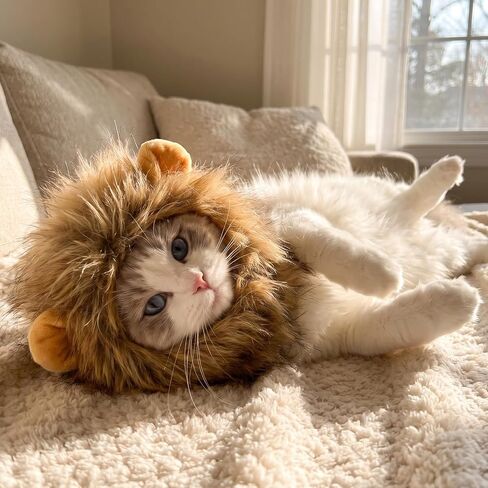 Lion Mane Wig for Cats- Funny Pet Cat Halloween Costumes Adjustable in Kuwait