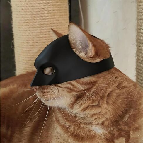 Cat Bat Mask for Halloween - Lightweight Funny Pet Costume, Easy to Wear Cosplay Party Accessory for Cats & Kittens (Black, 1 Pack) in Kuwait