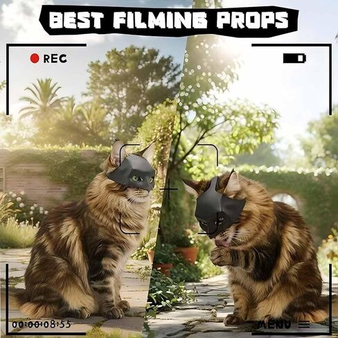 Cat Bat Mask for Halloween - Lightweight Funny Pet Costume, Easy to Wear Cosplay Party Accessory for Cats & Kittens (Black, 1 Pack) in Kuwait