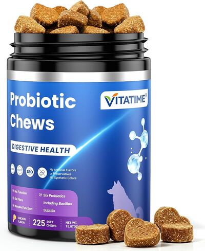 Dog Probiotic Soft Chews 225 Count 450g, 2B CFU 6 Heat-Stable Strains with Pumpkin Papaya, Digestive Support for Puppy Adult Senior Dogs in Kuwait